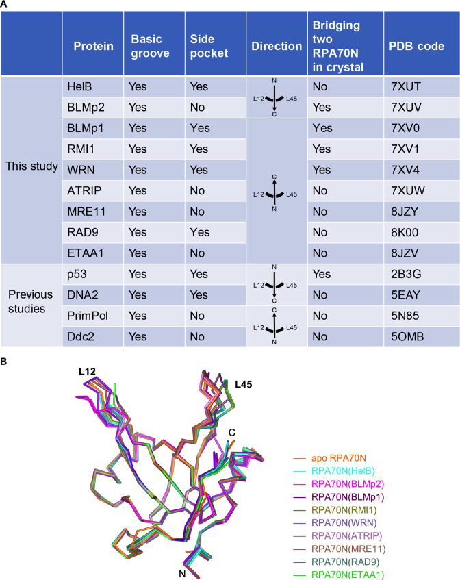 Figure 10.