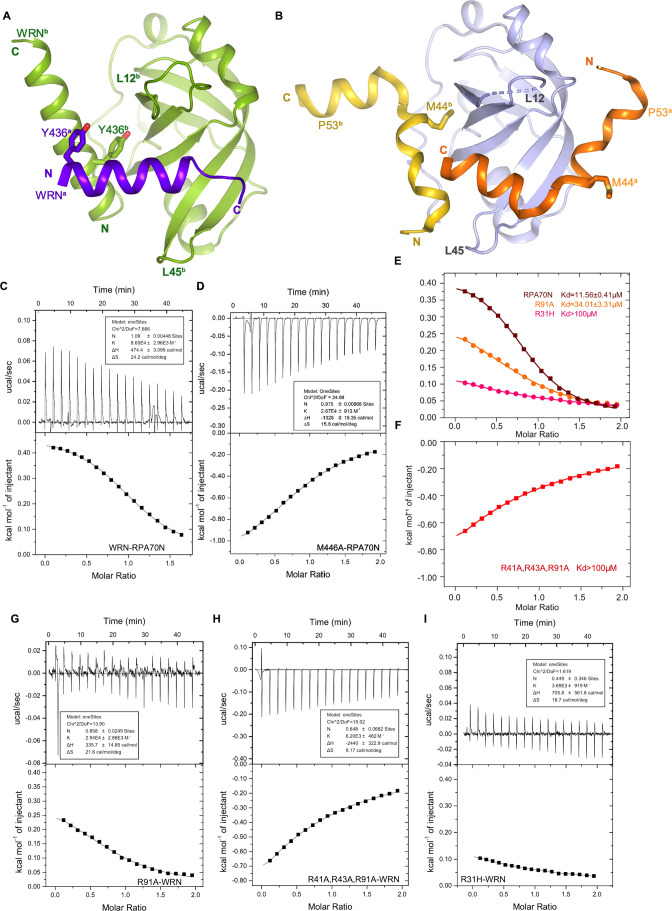 Figure 5—figure supplement 1.