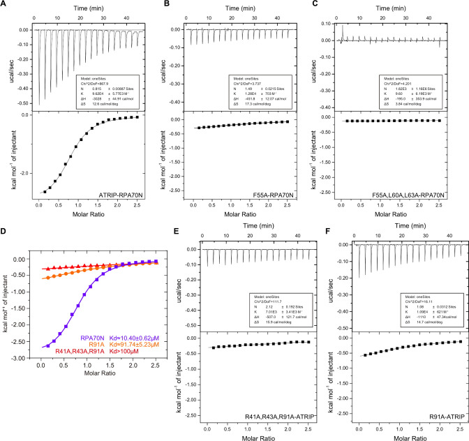 Figure 6—figure supplement 1.