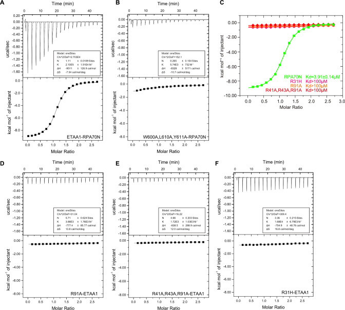 Figure 9—figure supplement 1.