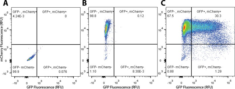 Fig. 3