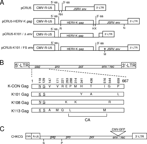 FIG. 1.