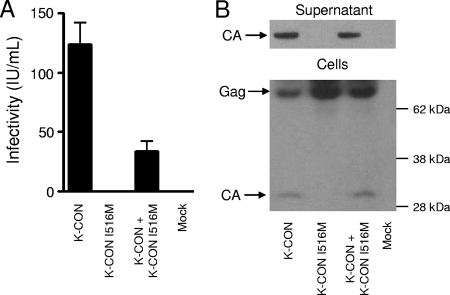 FIG. 6.