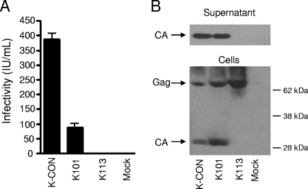 FIG. 4.