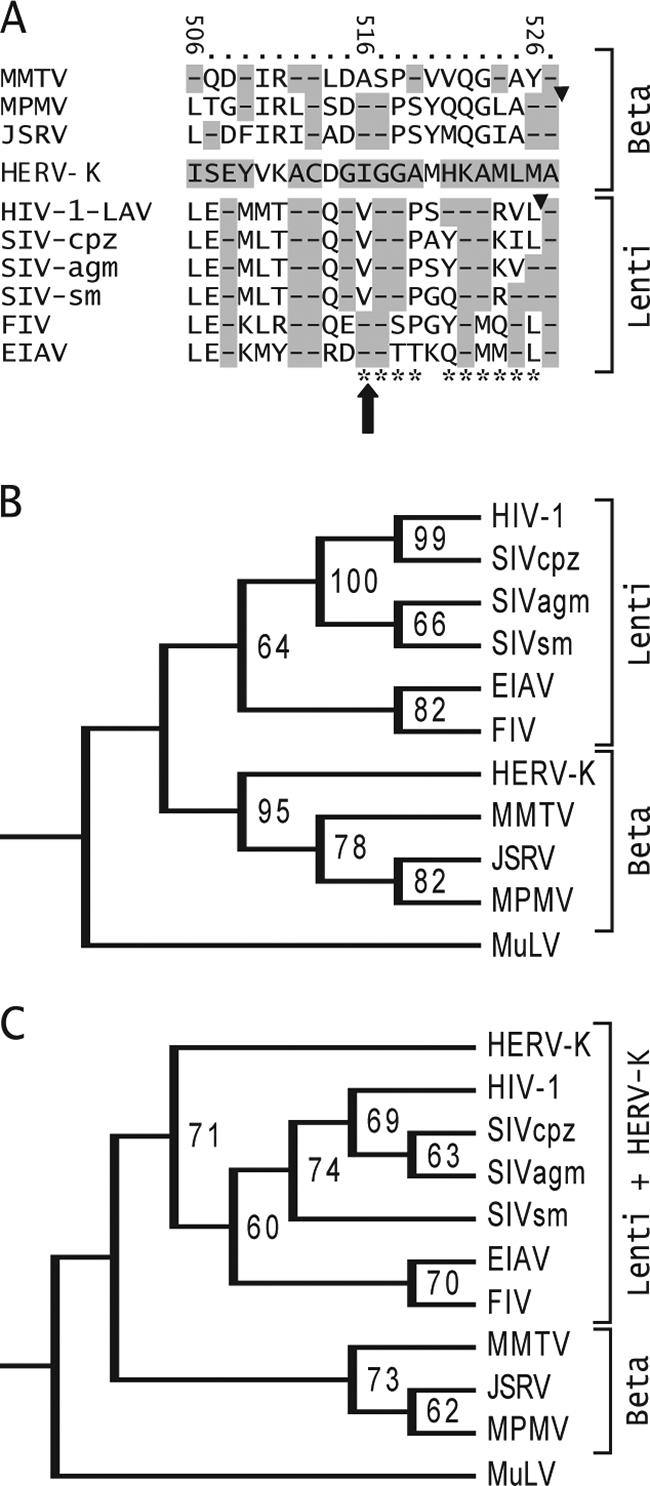 FIG. 7.