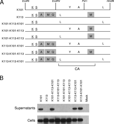 FIG. 5.