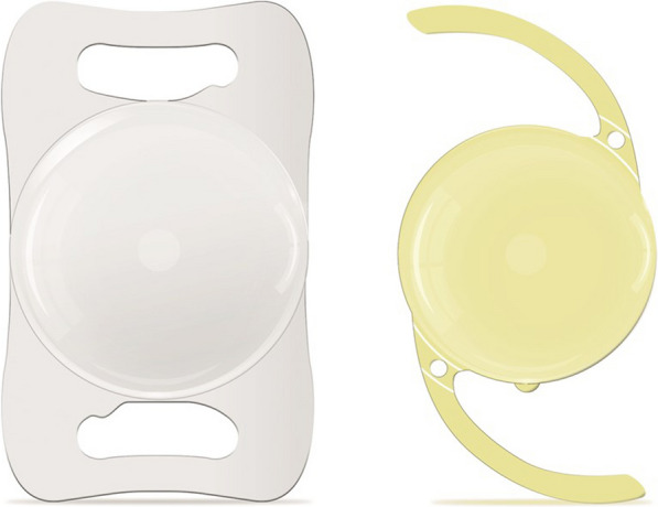 Fig. 1