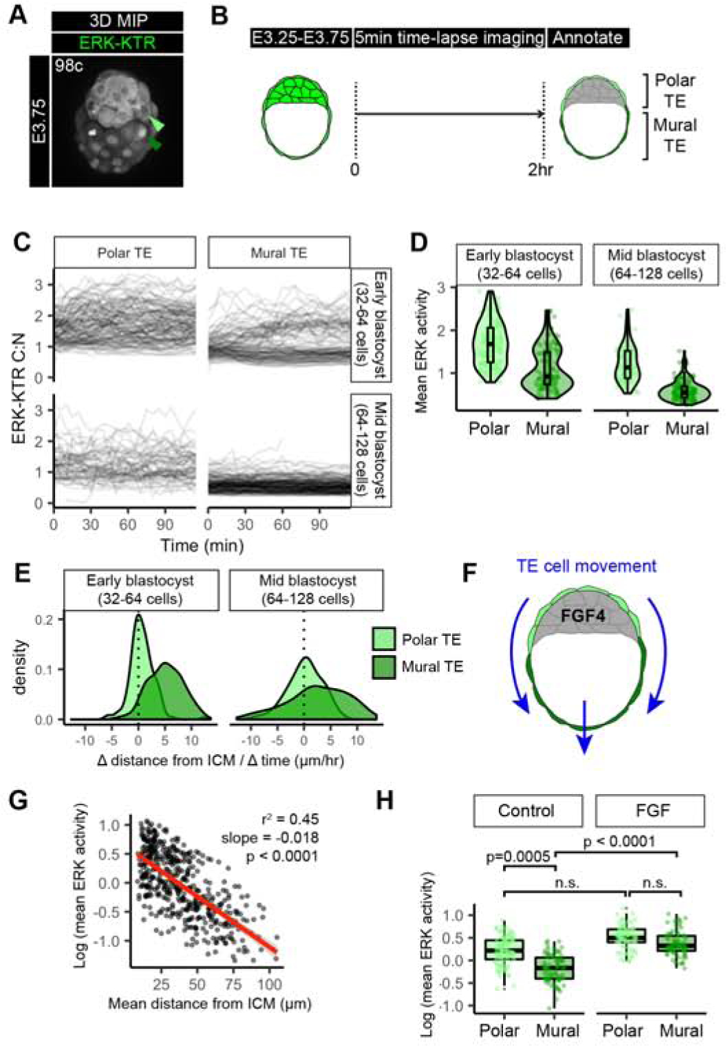 Figure 3: