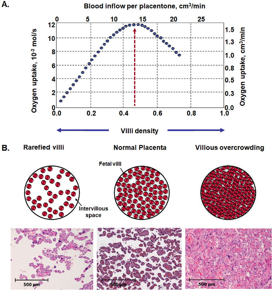 Figure 12.