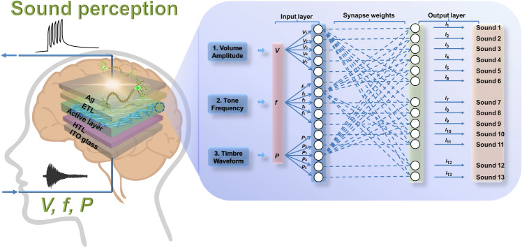 graphic file with name 40820_2023_1116_Figa_HTML.jpg