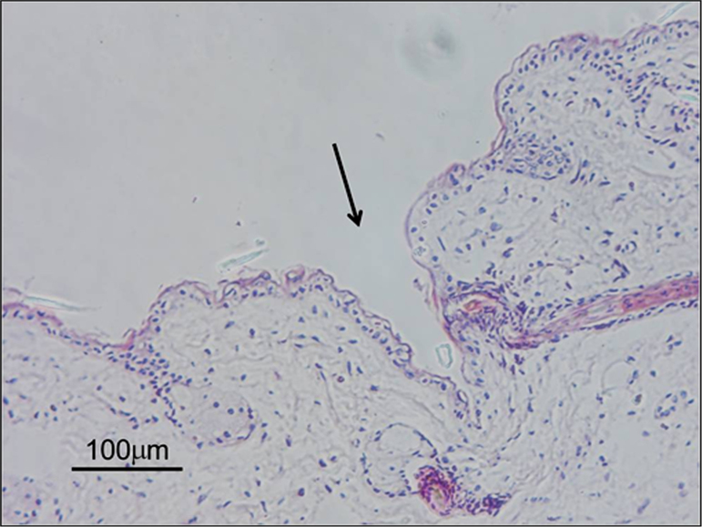 Fig. 10