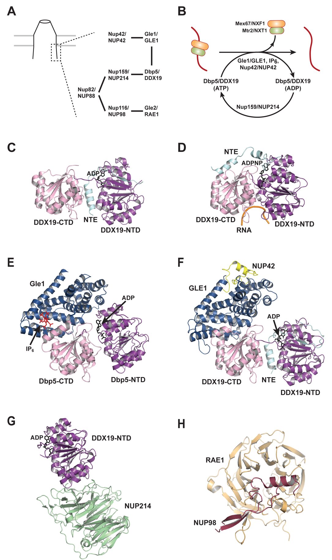 Figure 4.