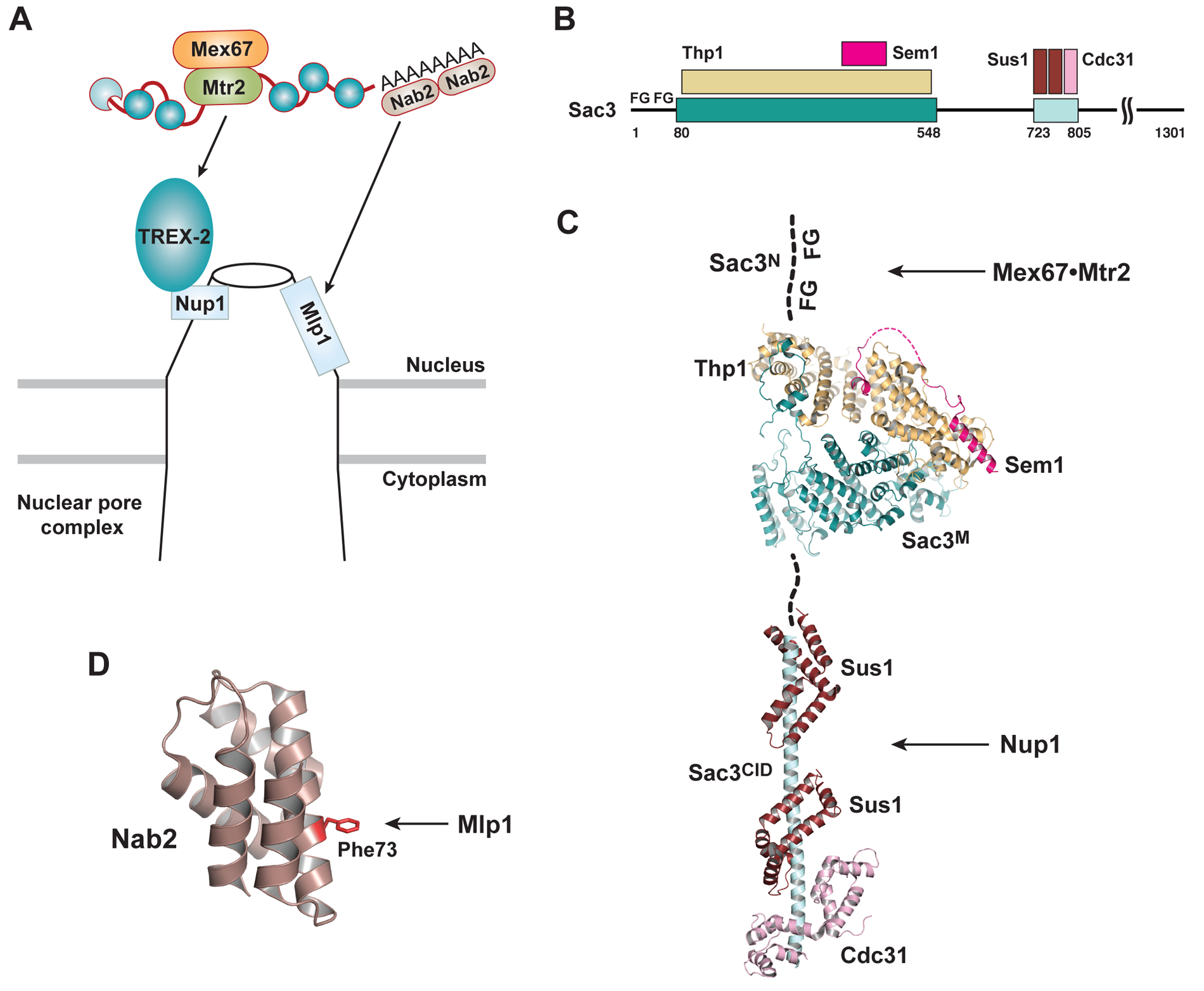 Figure 3.