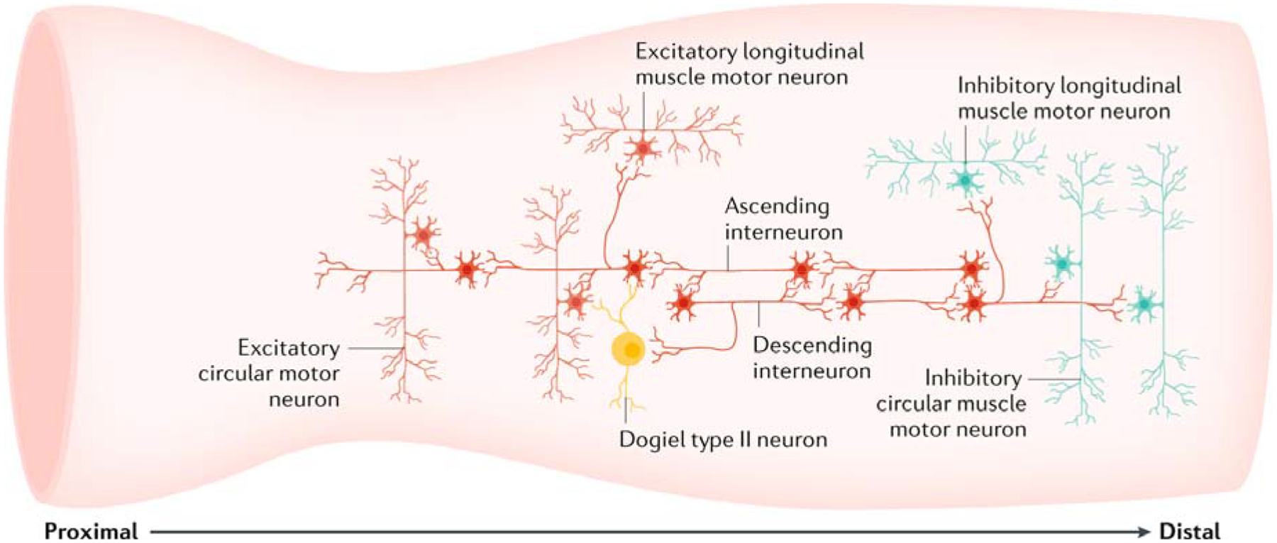 Fig. 5: