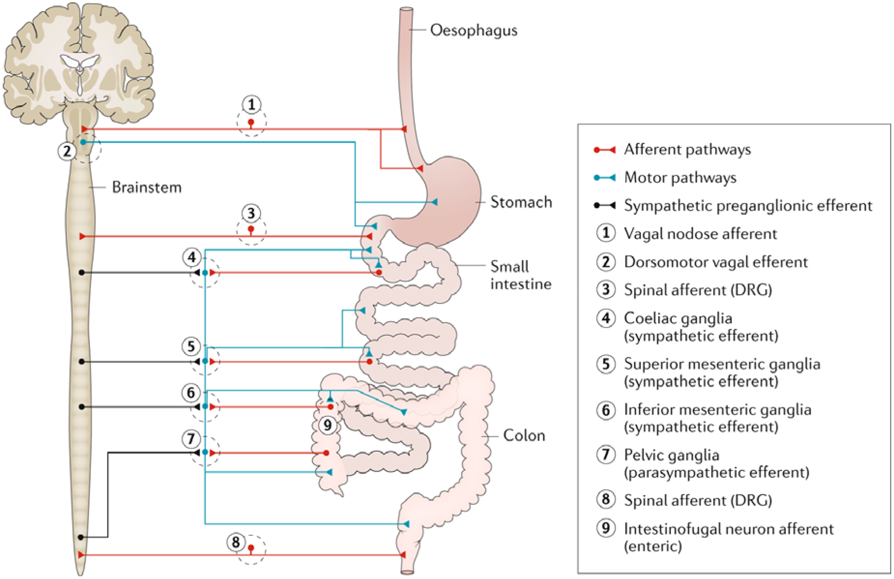 Fig. 2: