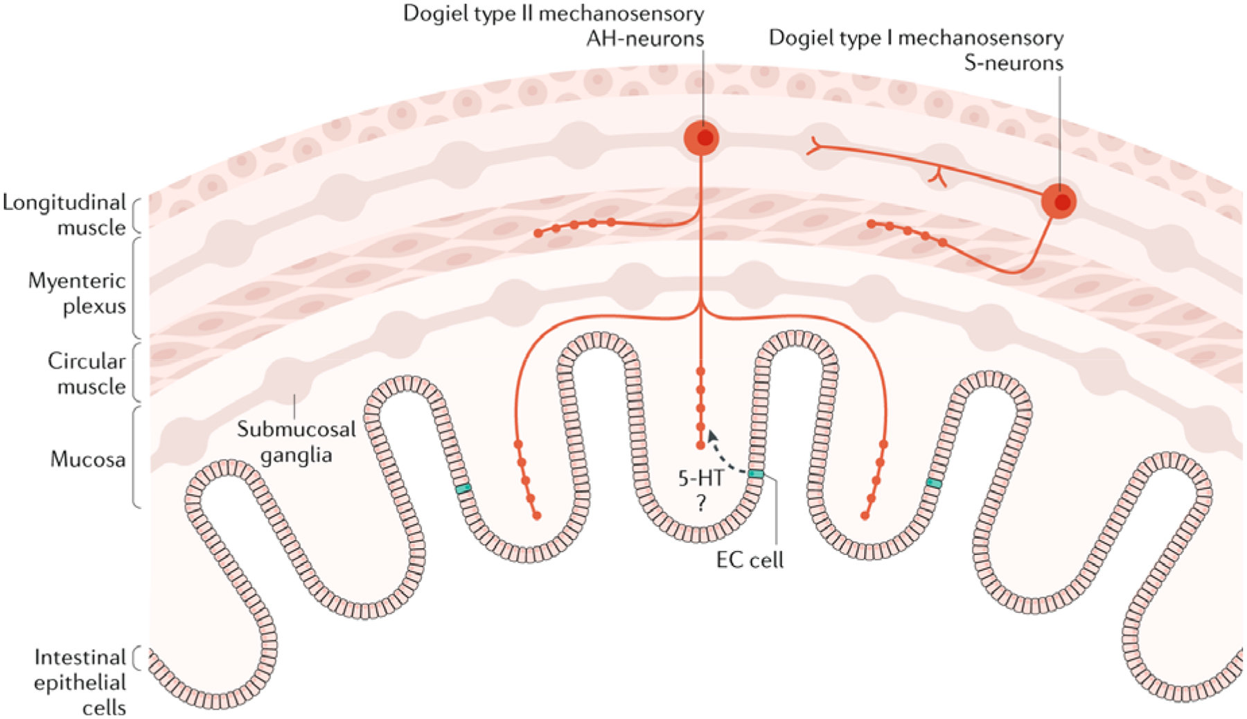 Fig. 4: