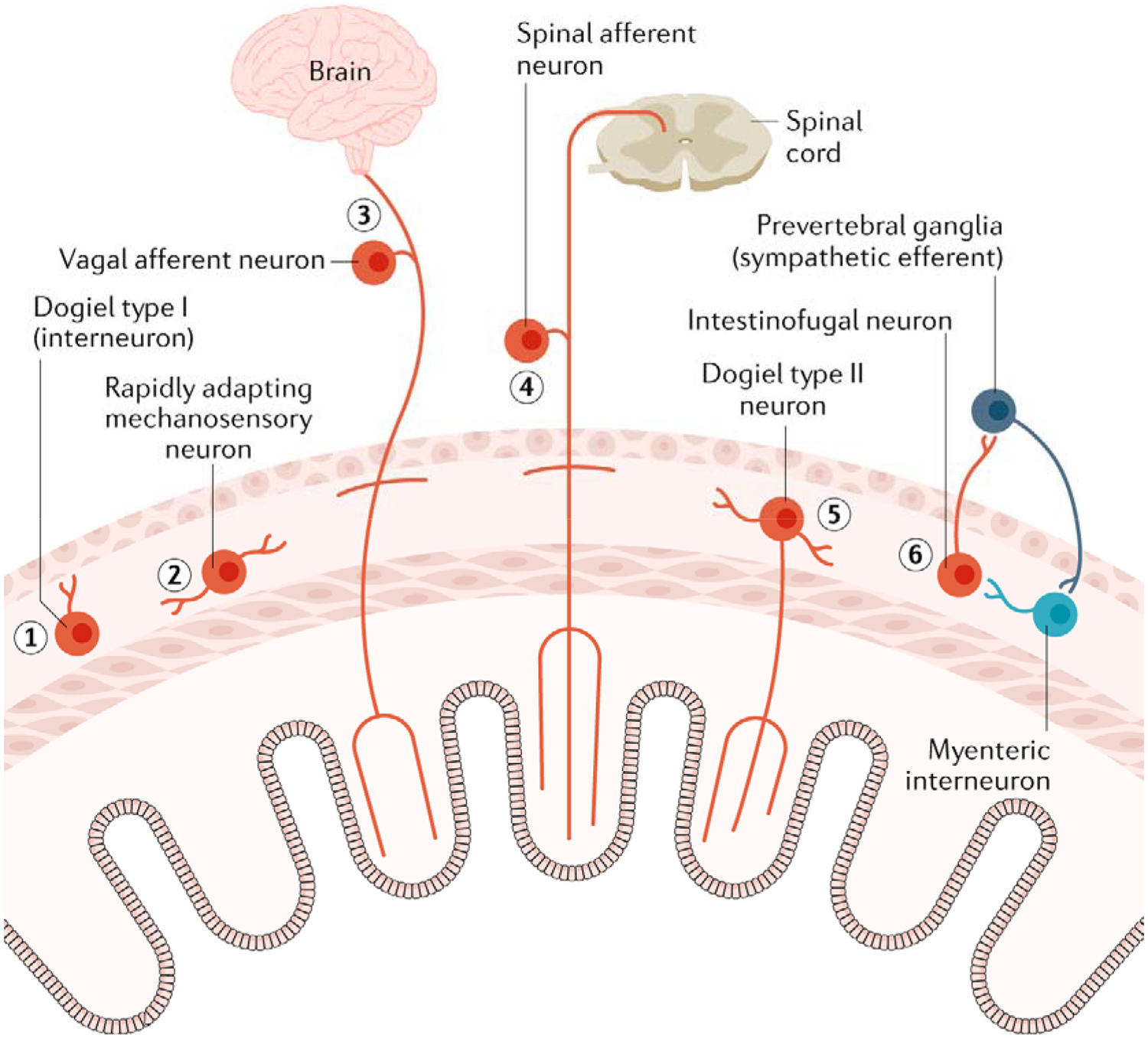 Fig. 3: