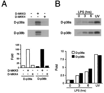 FIG. 6