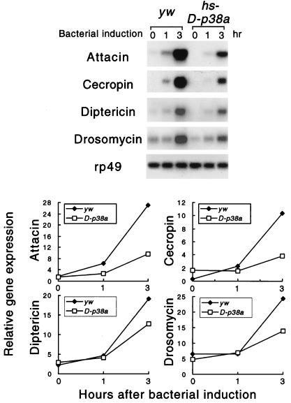 FIG. 9