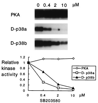 FIG. 7