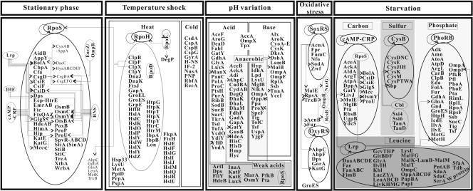 FIG. 4.