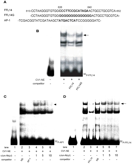 Figure 5