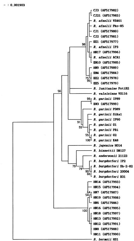 FIG. 1.