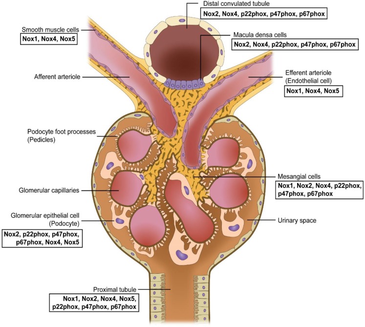 Fig. 2.