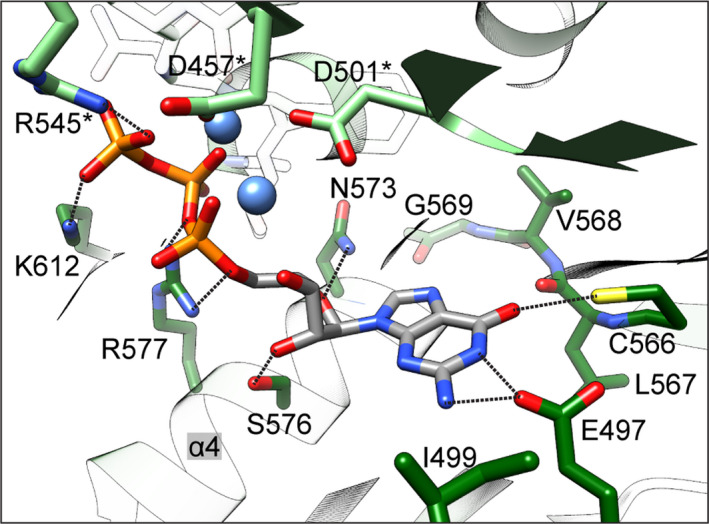 Figure 6