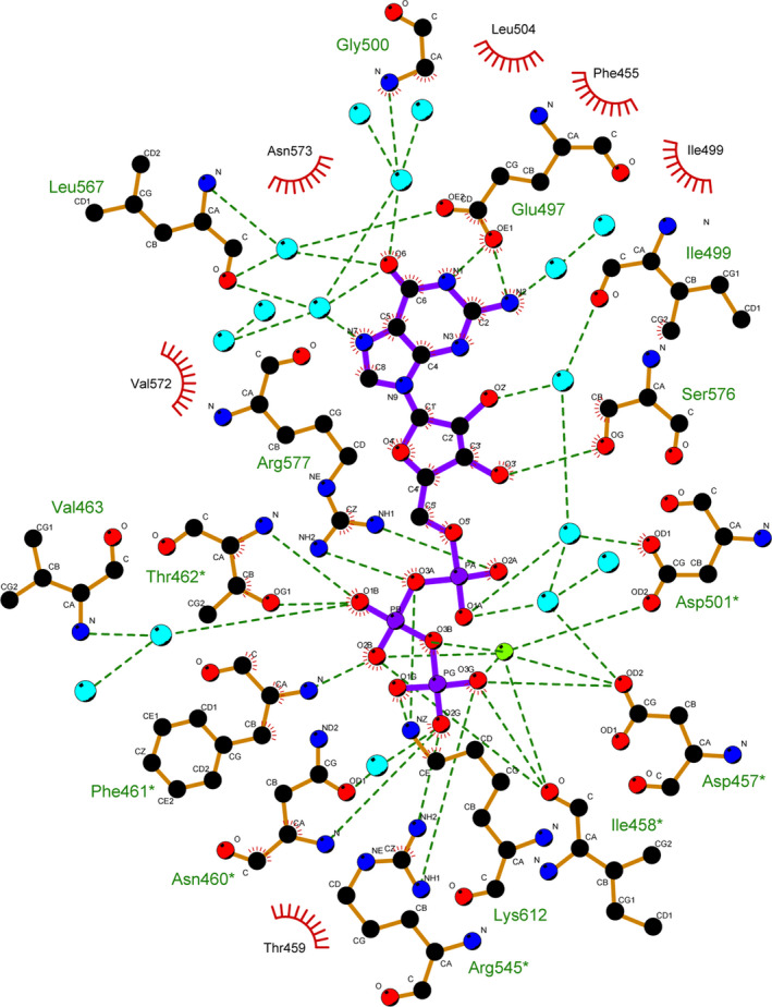 Figure 4