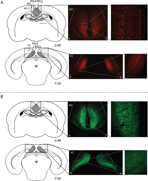 Figure 3.