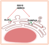 FIG 8