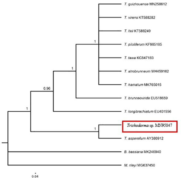 Fig. 5