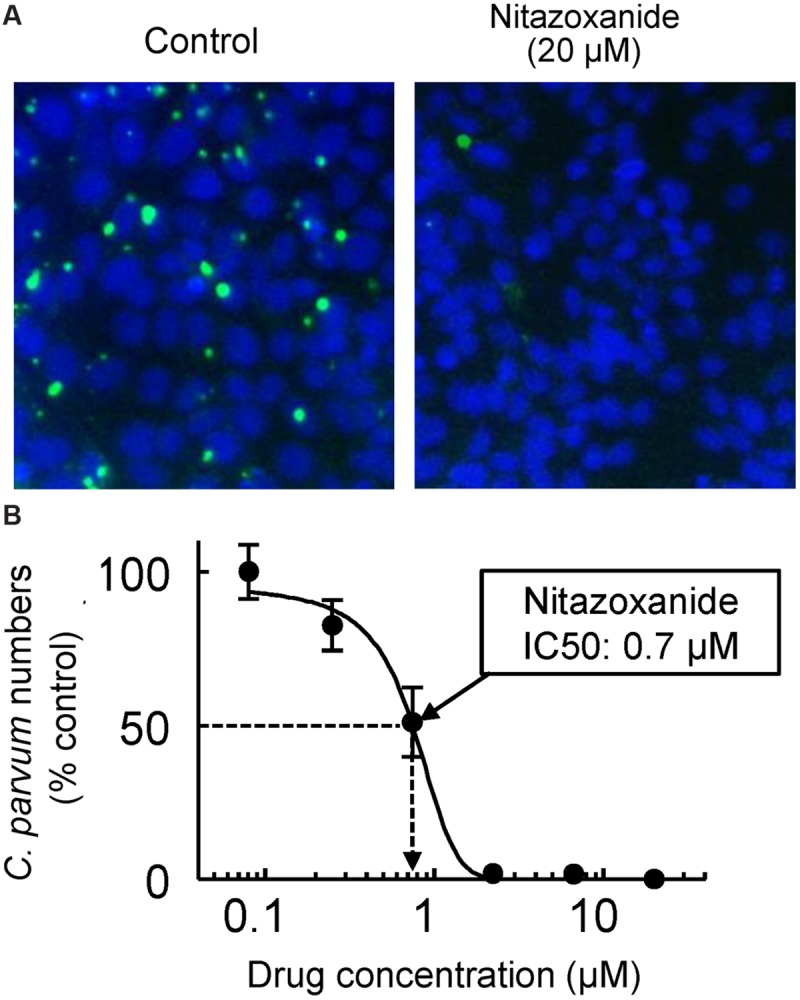 FIGURE 2