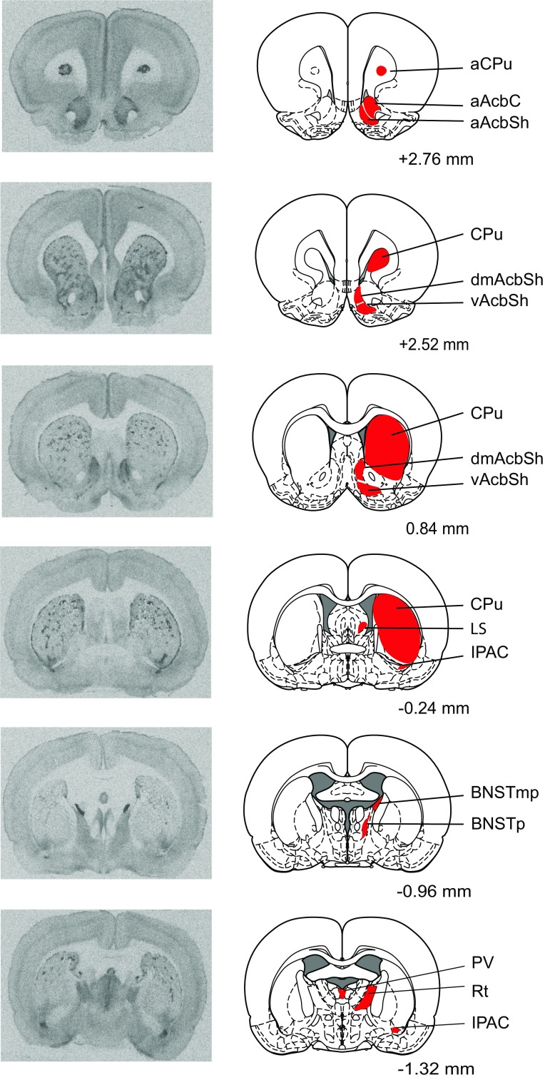 Fig. 2