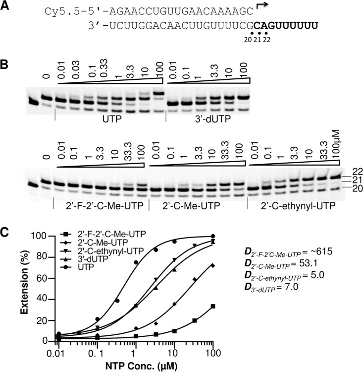 FIG 6