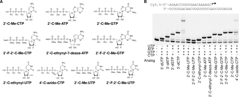 FIG 5