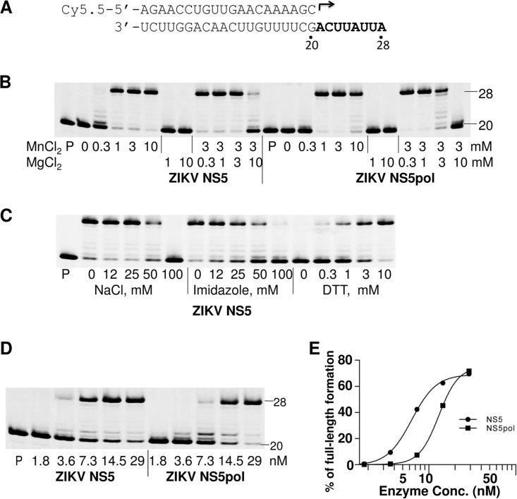 FIG 2