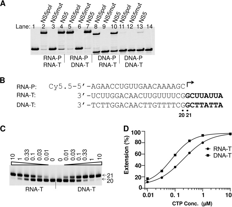 FIG 3