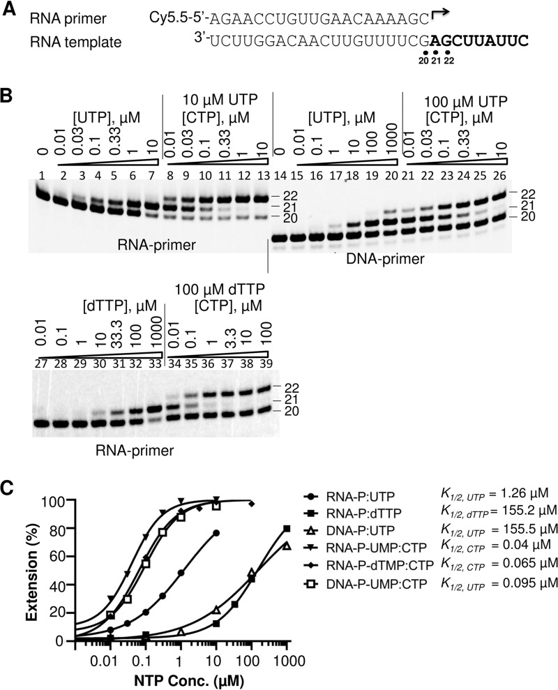 FIG 4