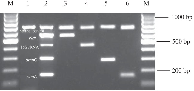 FIG 1