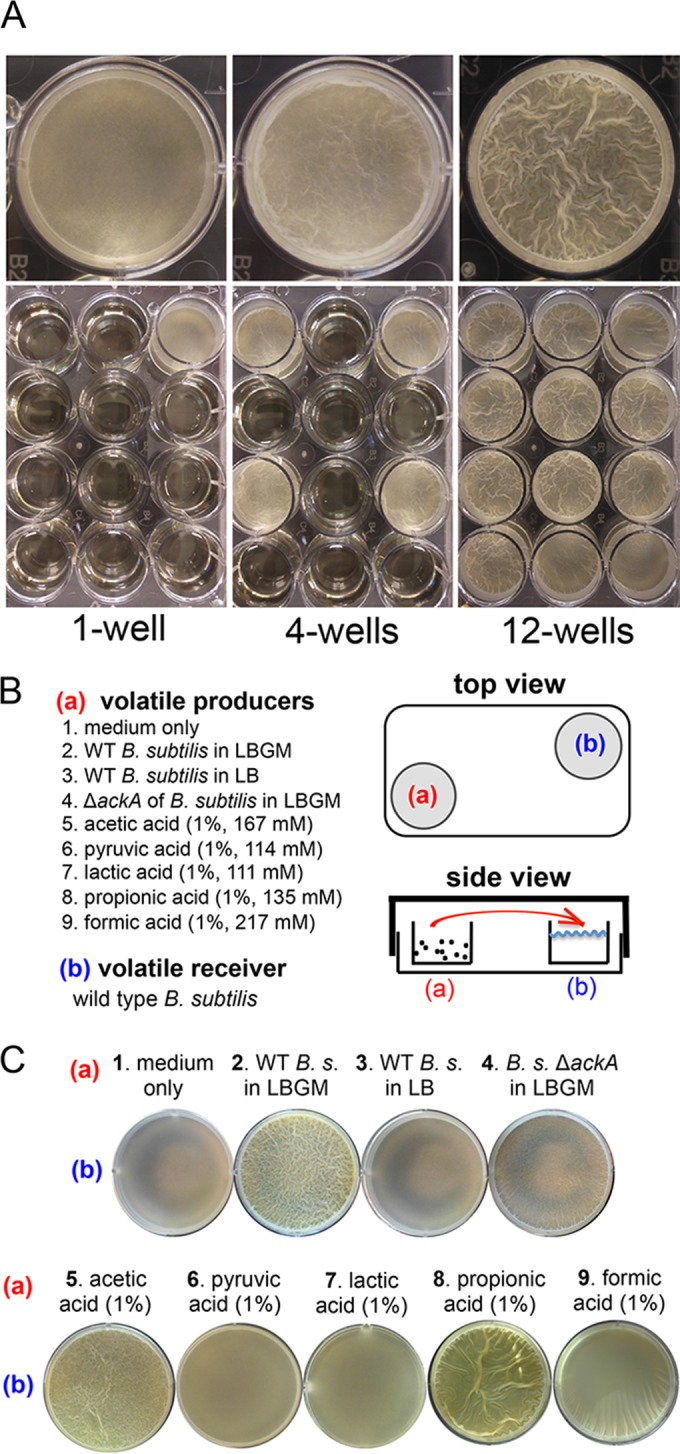 FIG 3 