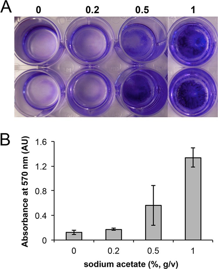 FIG 9 