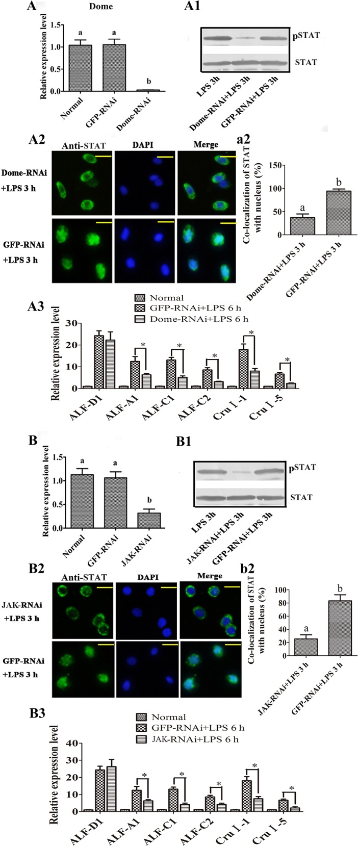 Fig 10