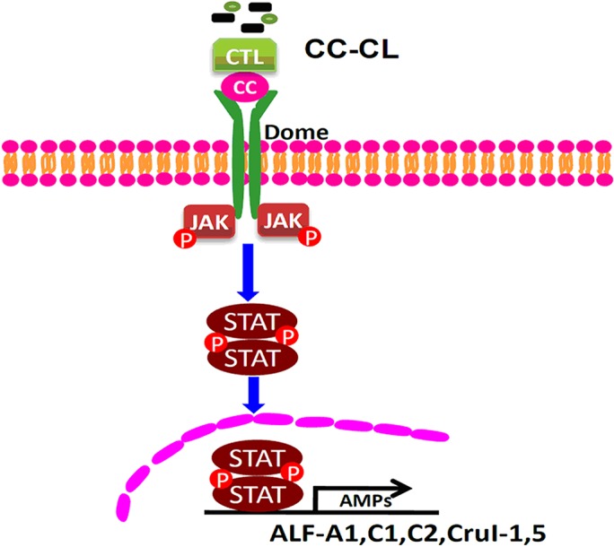 Fig 12