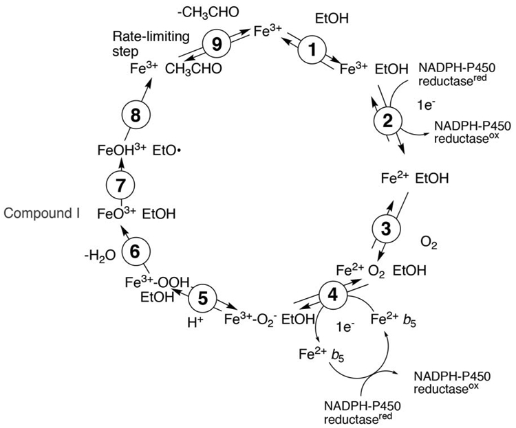 Figure 5.