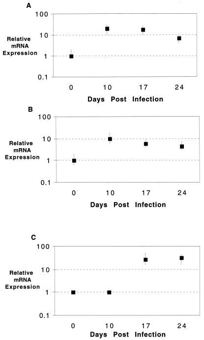 FIG. 3