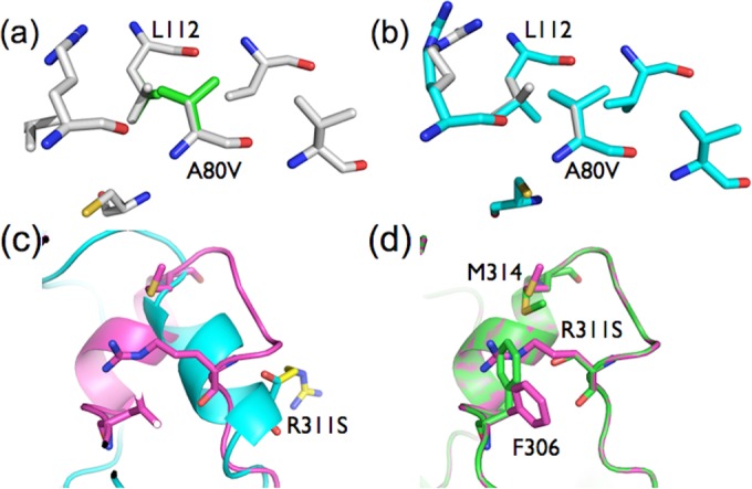 FIG 4