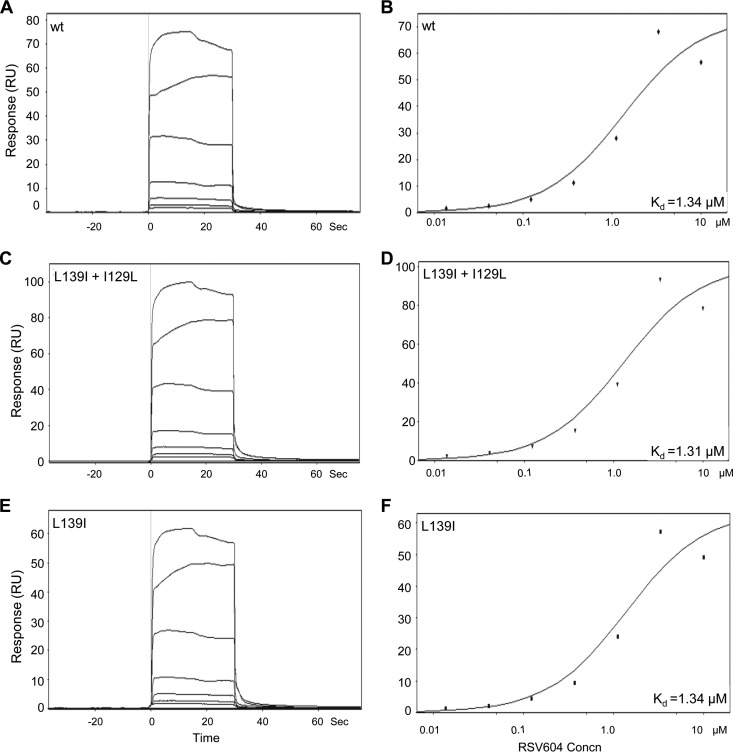 FIG 2