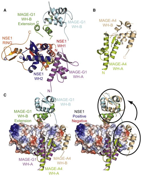 Figure 4